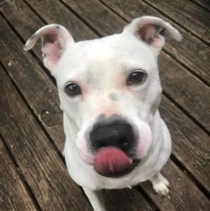 Meet your Posher, Kathy